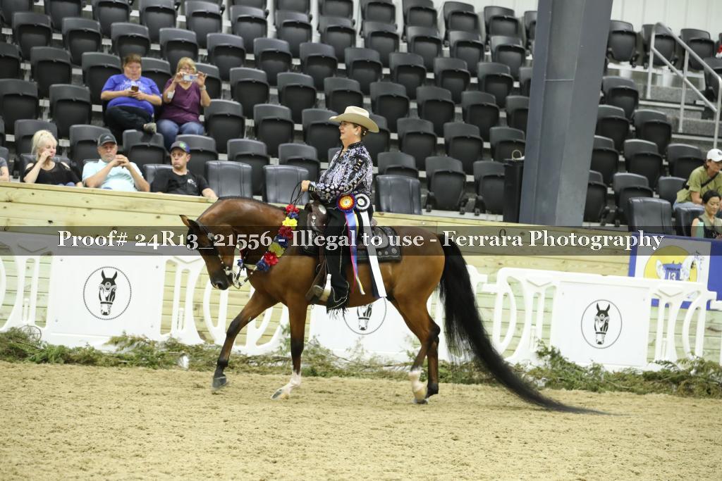 Proof 24R13_21556
