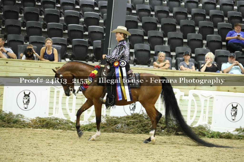 Proof 24R13_21558