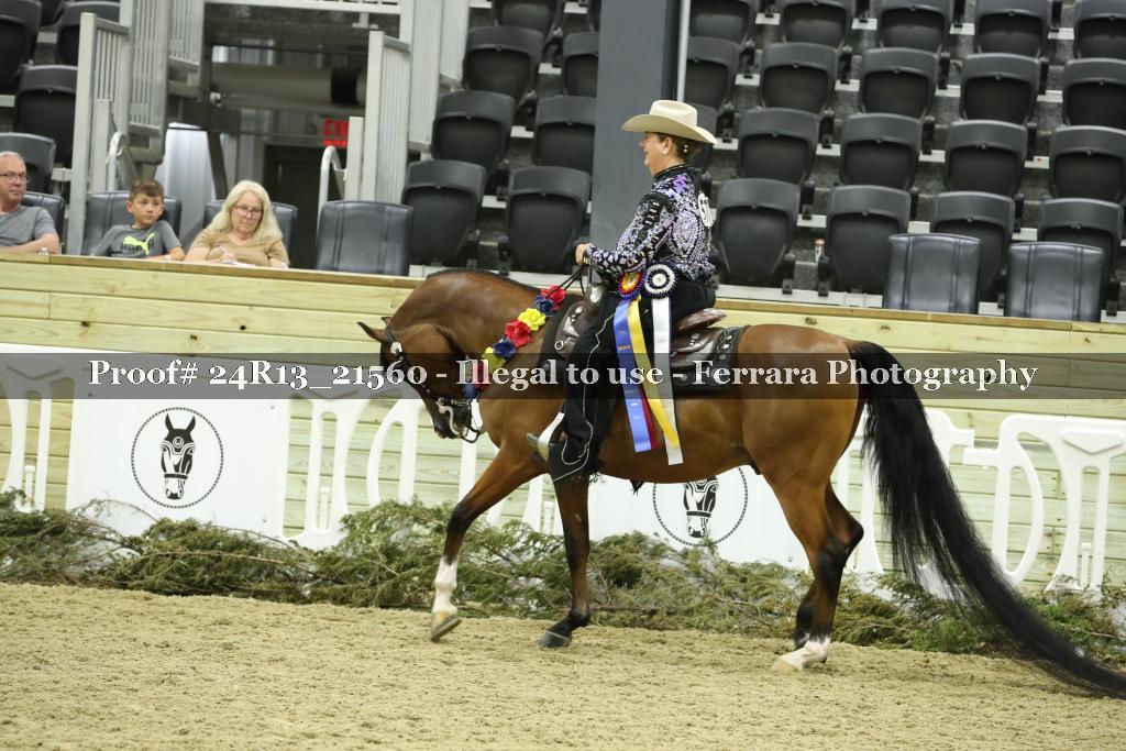 Proof 24R13_21560