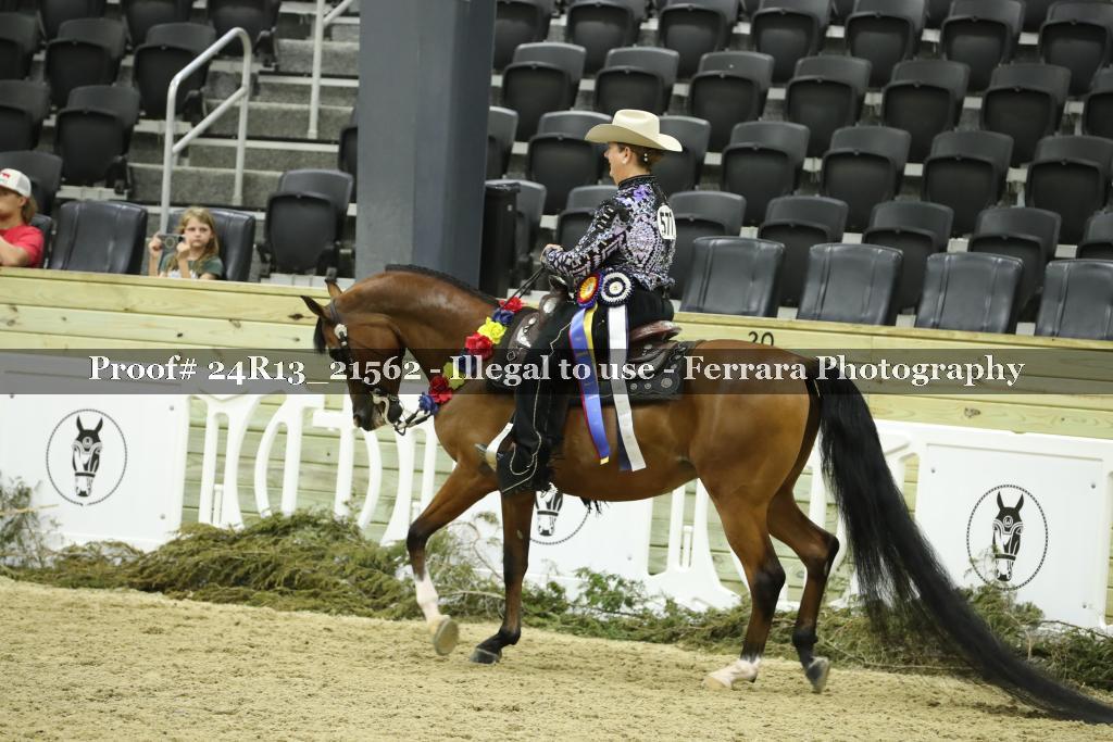 Proof 24R13_21562