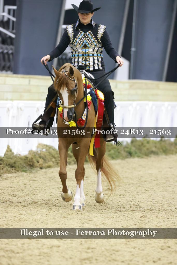 Proof 24R13_21563