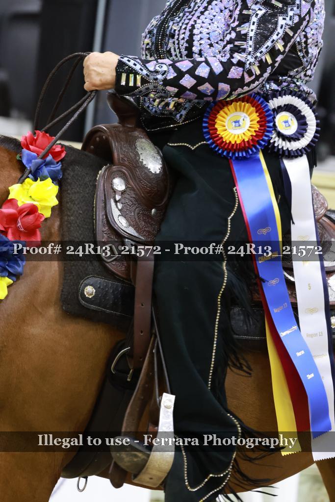 Proof 24R13_21572