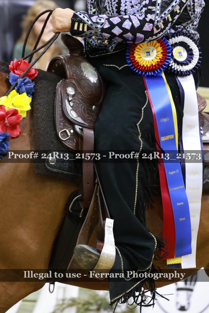 Proof 24R13_21573
