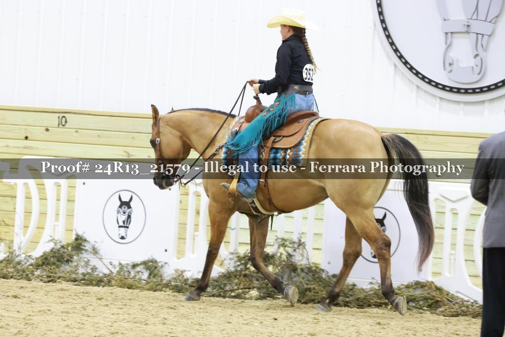 Proof 24R13_21579
