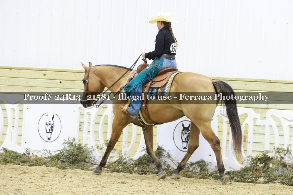 Proof 24R13_21581