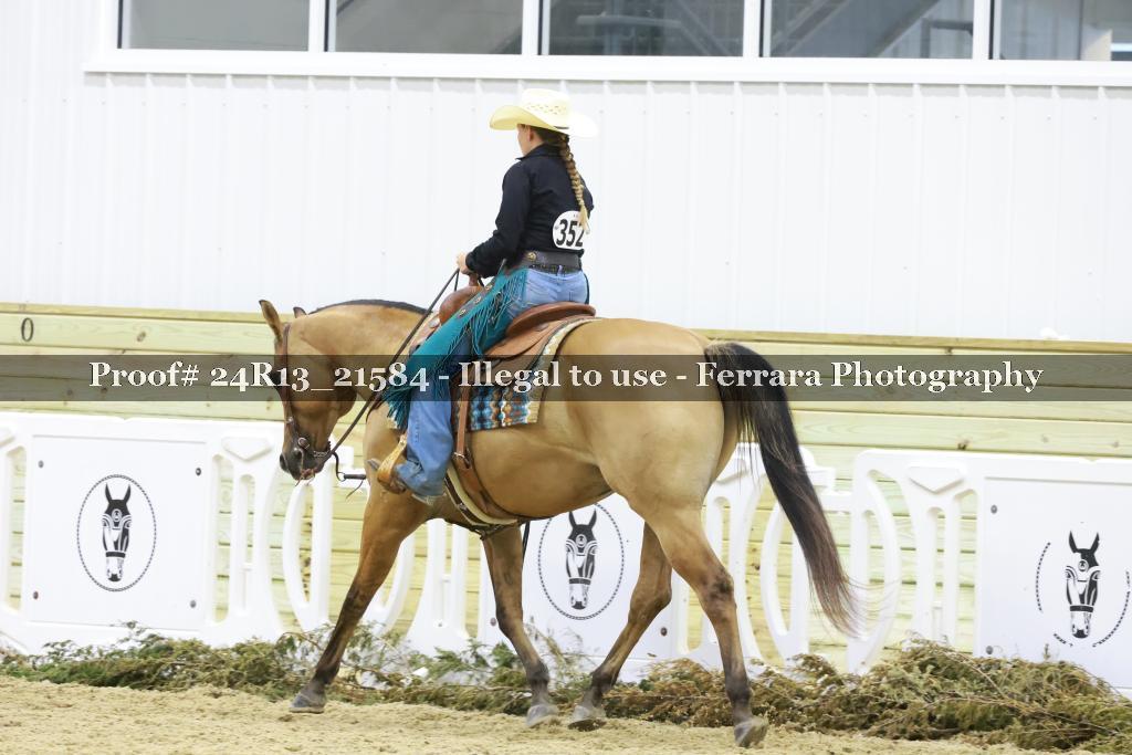 Proof 24R13_21584