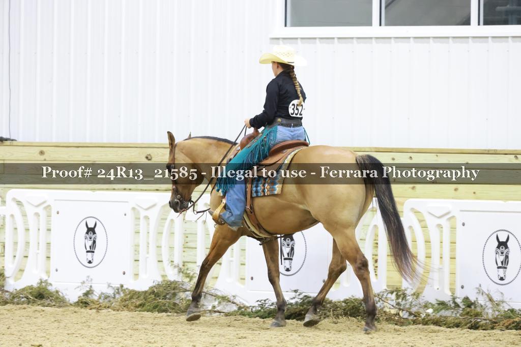 Proof 24R13_21585