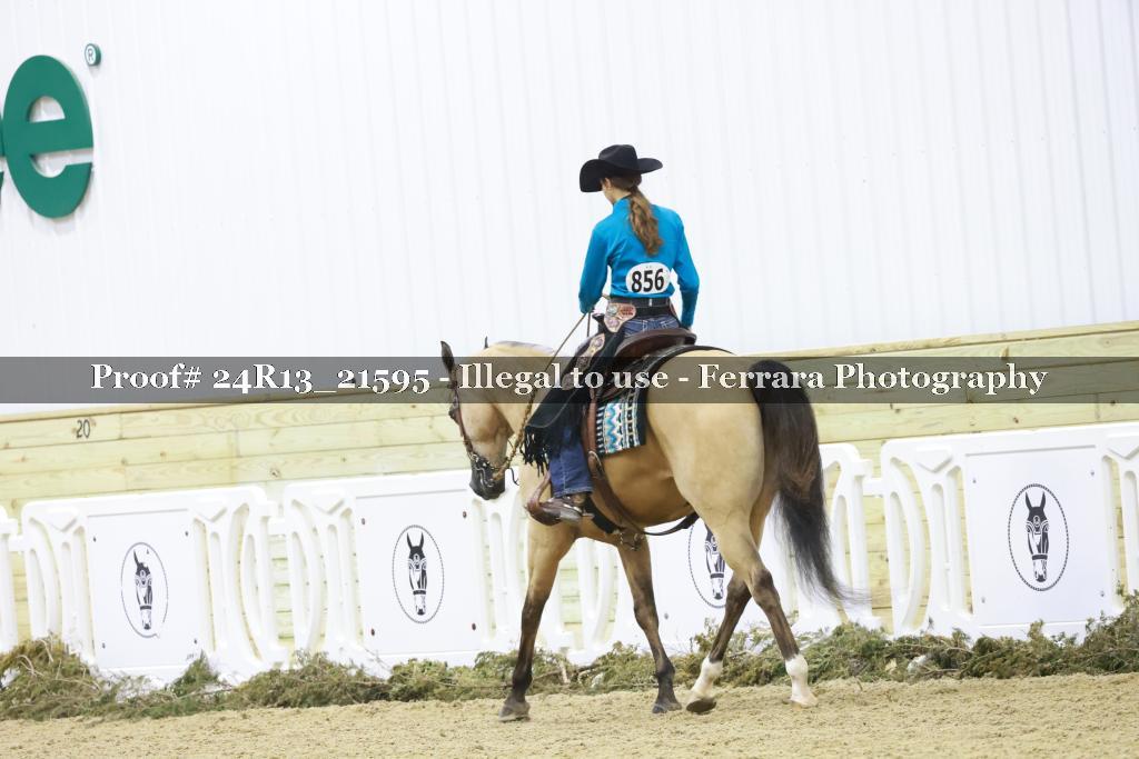 Proof 24R13_21595
