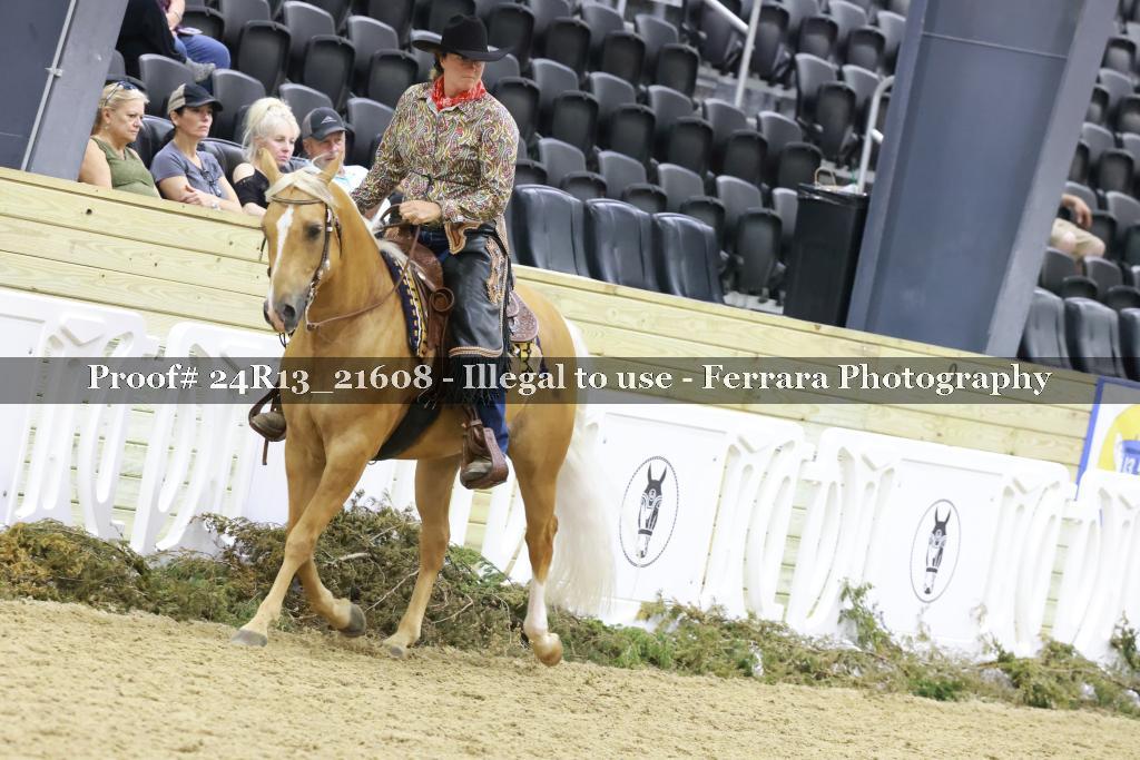 Proof 24R13_21608