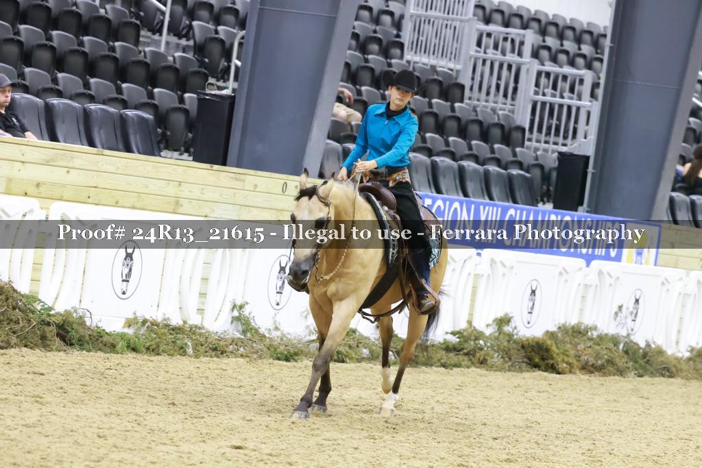 Proof 24R13_21615
