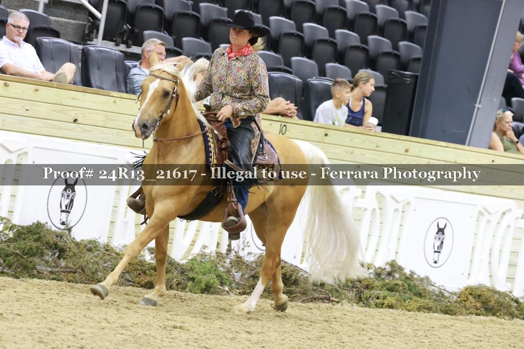 Proof 24R13_21617