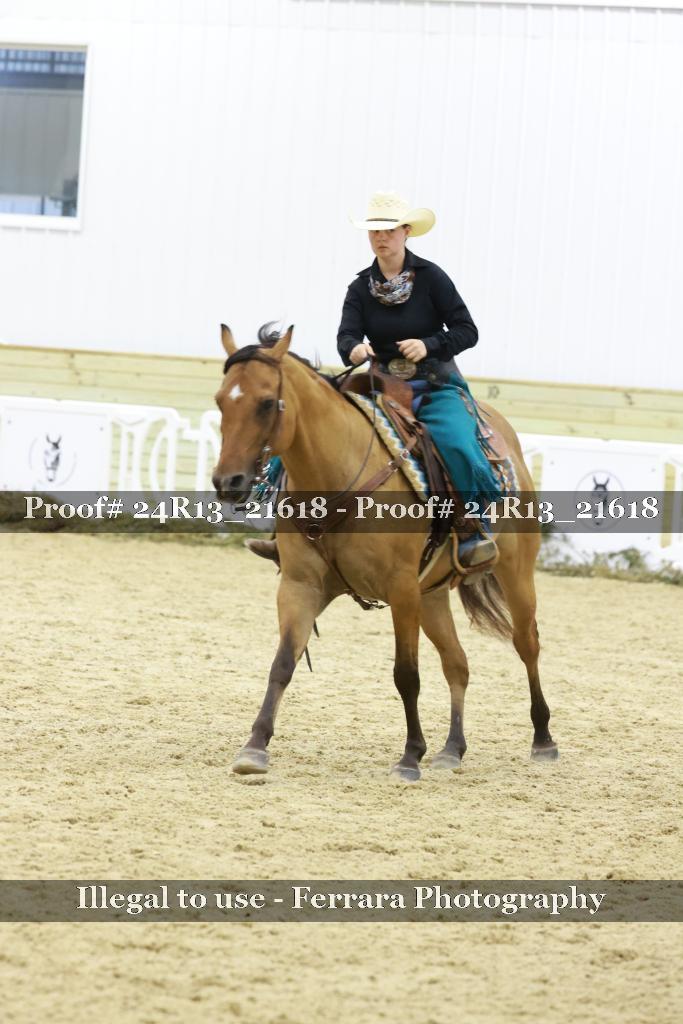 Proof 24R13_21618