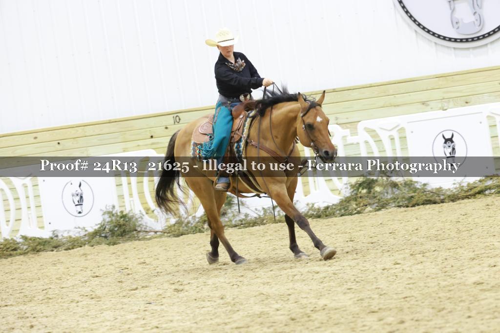Proof 24R13_21625
