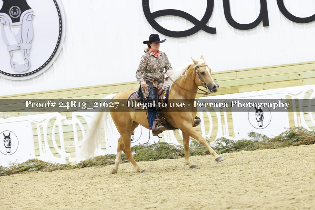 Proof 24R13_21627