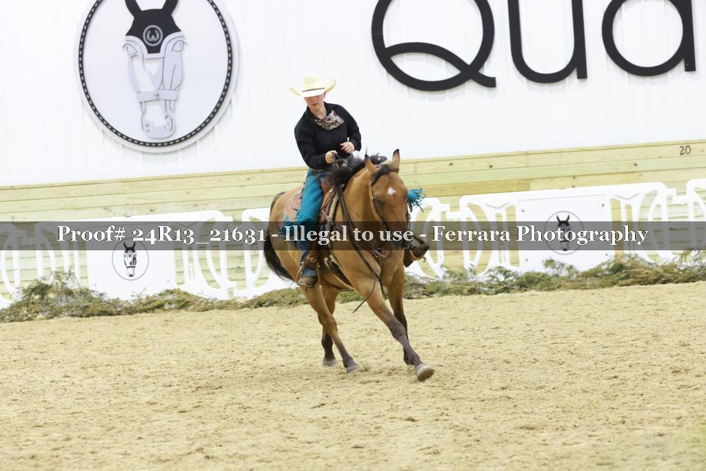 Proof 24R13_21631