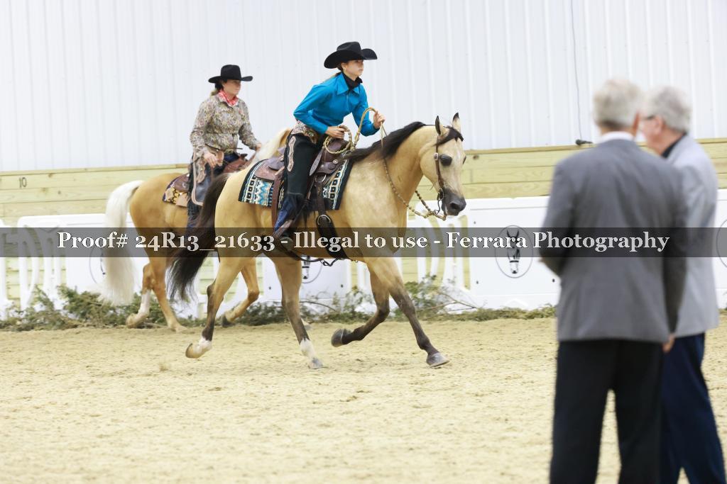 Proof 24R13_21633