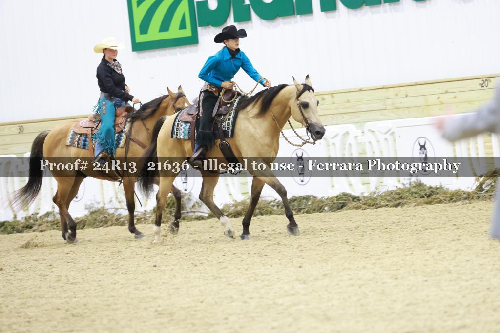 Proof 24R13_21636