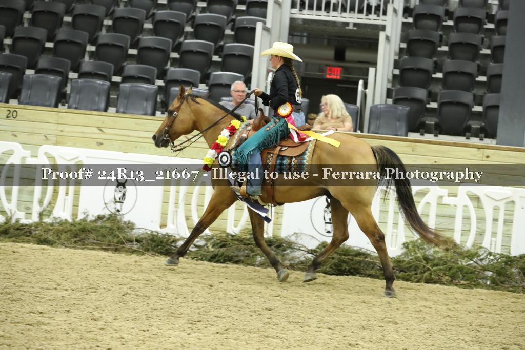 Proof 24R13_21667