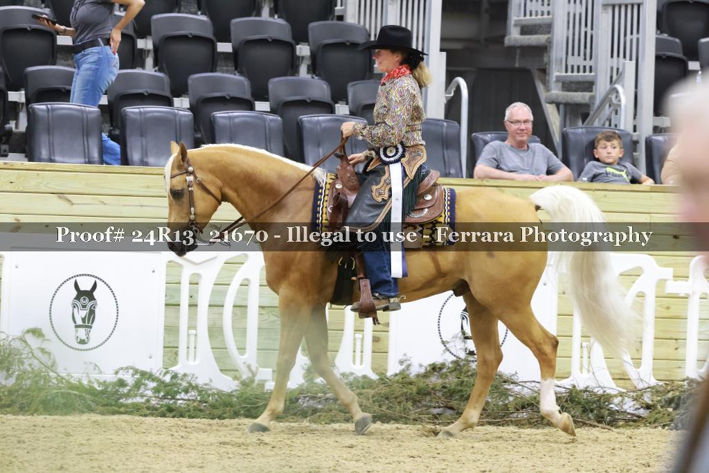 Proof 24R13_21670