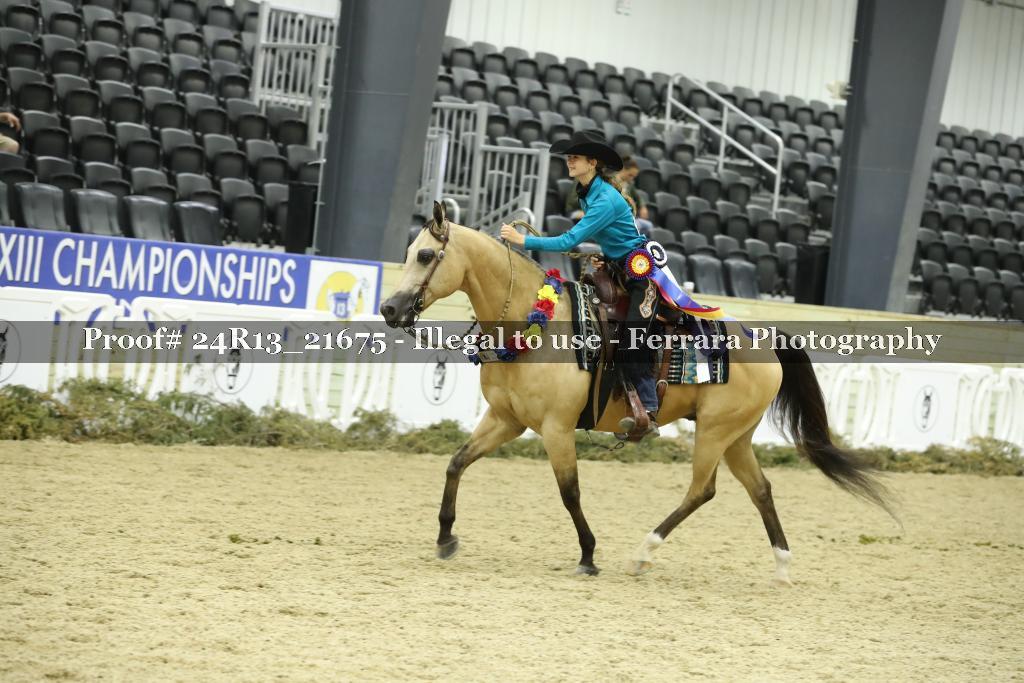 Proof 24R13_21675