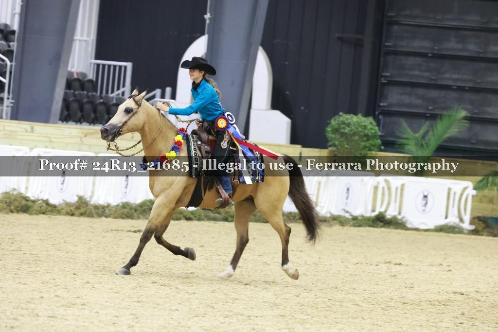 Proof 24R13_21685