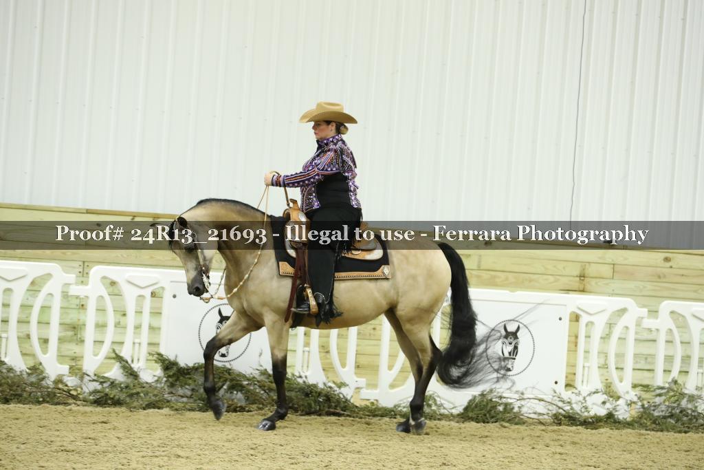 Proof 24R13_21693