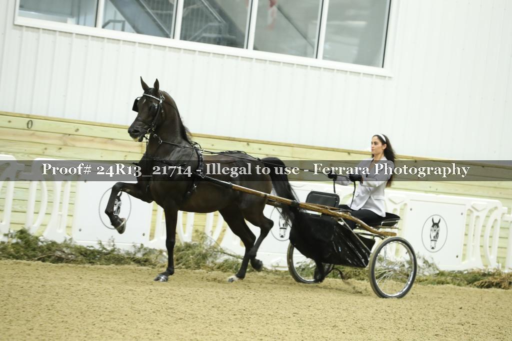 Proof 24R13_21714