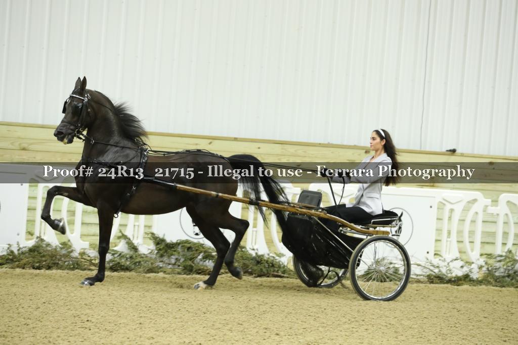 Proof 24R13_21715