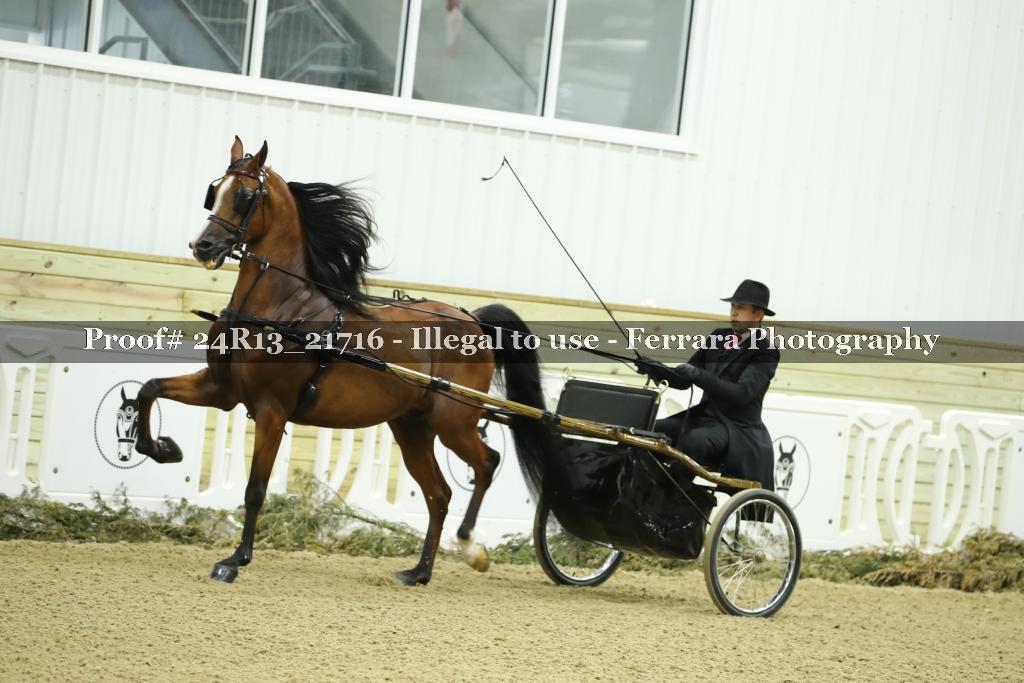 Proof 24R13_21716