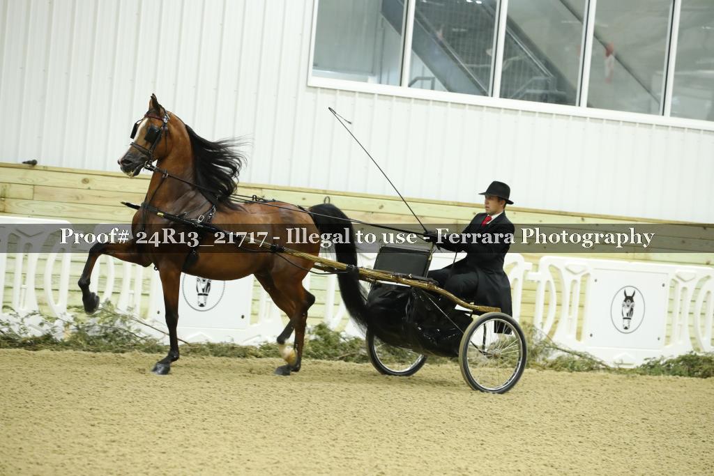 Proof 24R13_21717