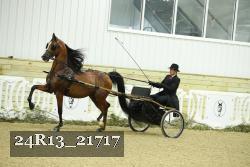24R13_21717 proof