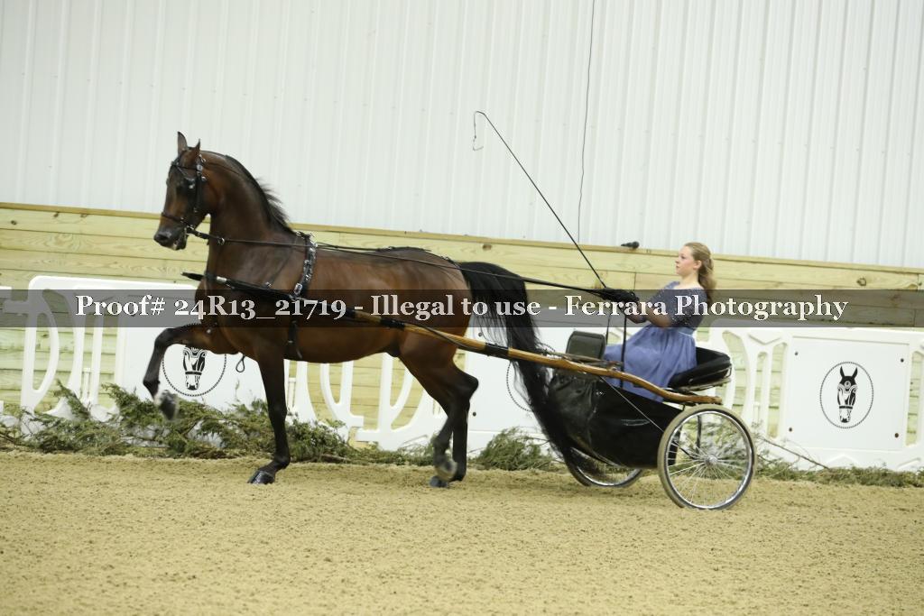 Proof 24R13_21719