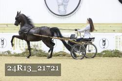 24R13_21721 proof