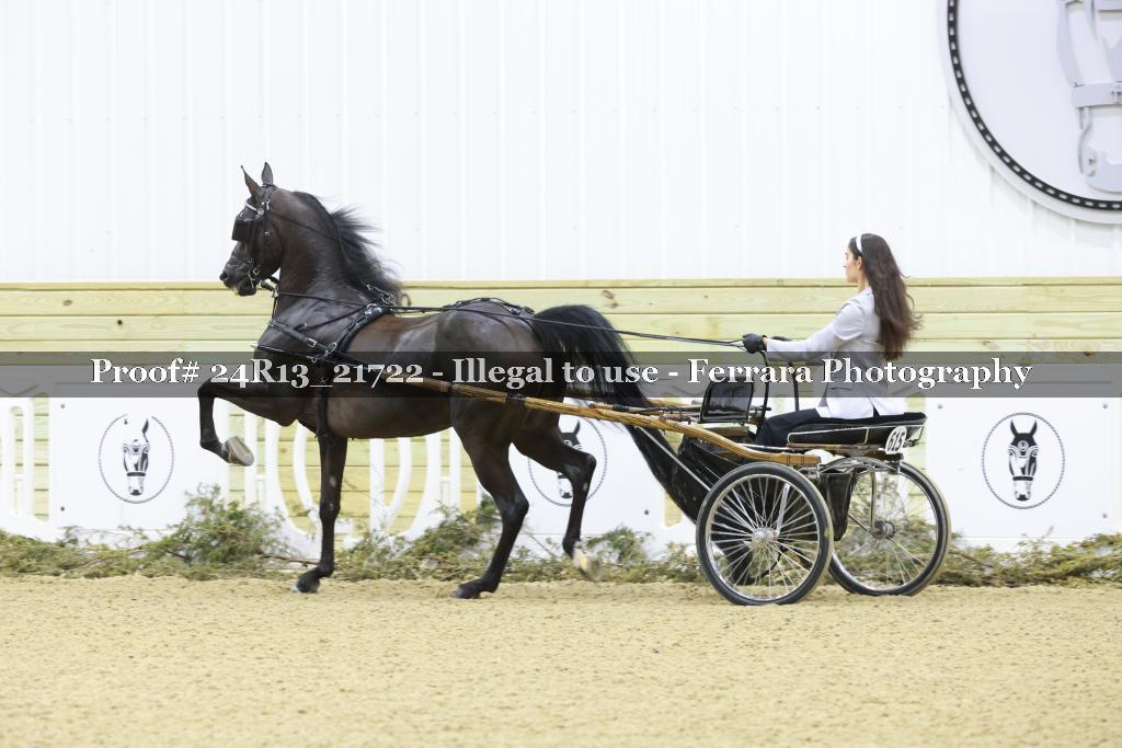 Proof 24R13_21722