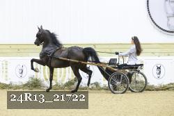 24R13_21722 proof