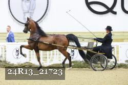 24R13_21723 proof