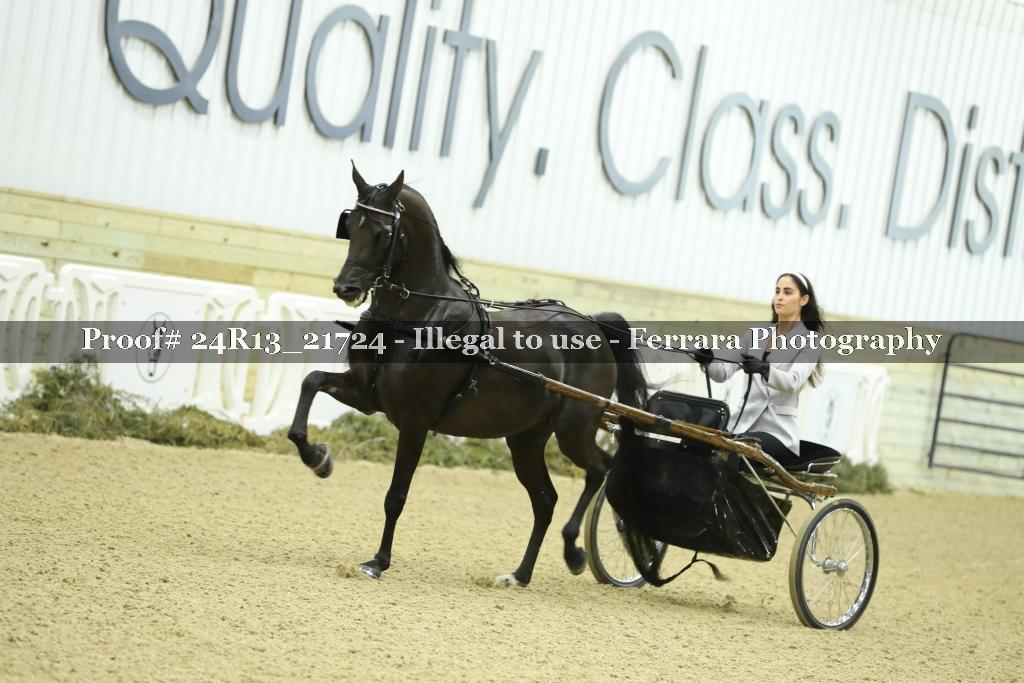 Proof 24R13_21724