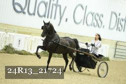 24R13_21724 proof