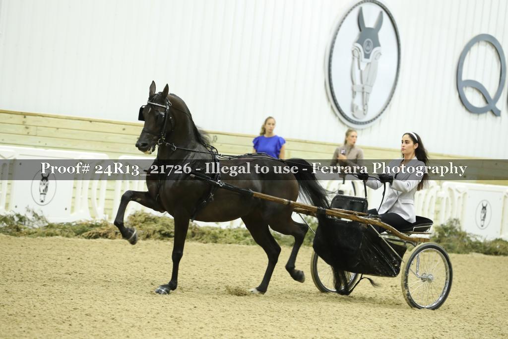 Proof 24R13_21726