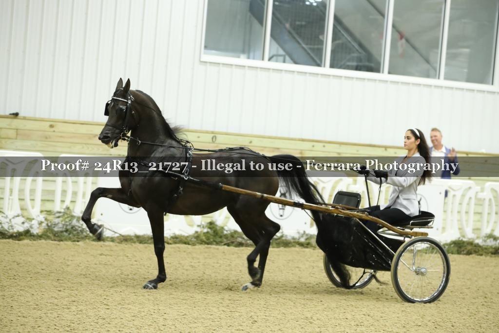 Proof 24R13_21727