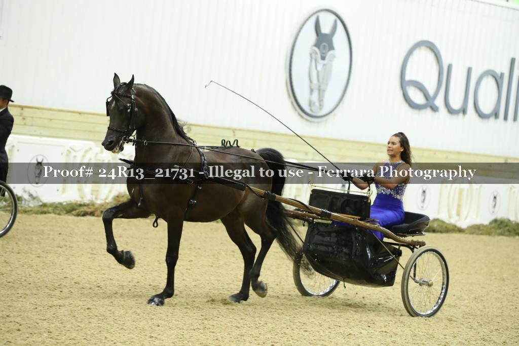Proof 24R13_21731