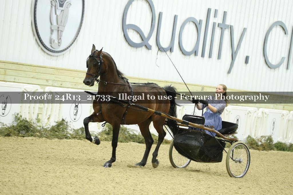 Proof 24R13_21733