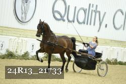 24R13_21733 proof