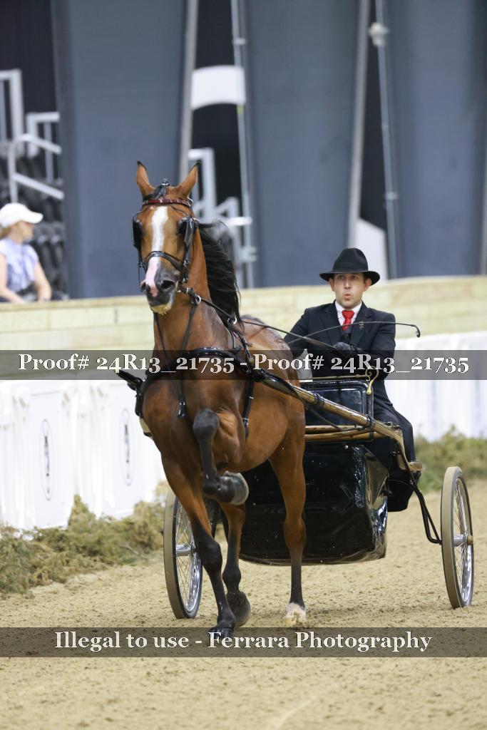 Proof 24R13_21735