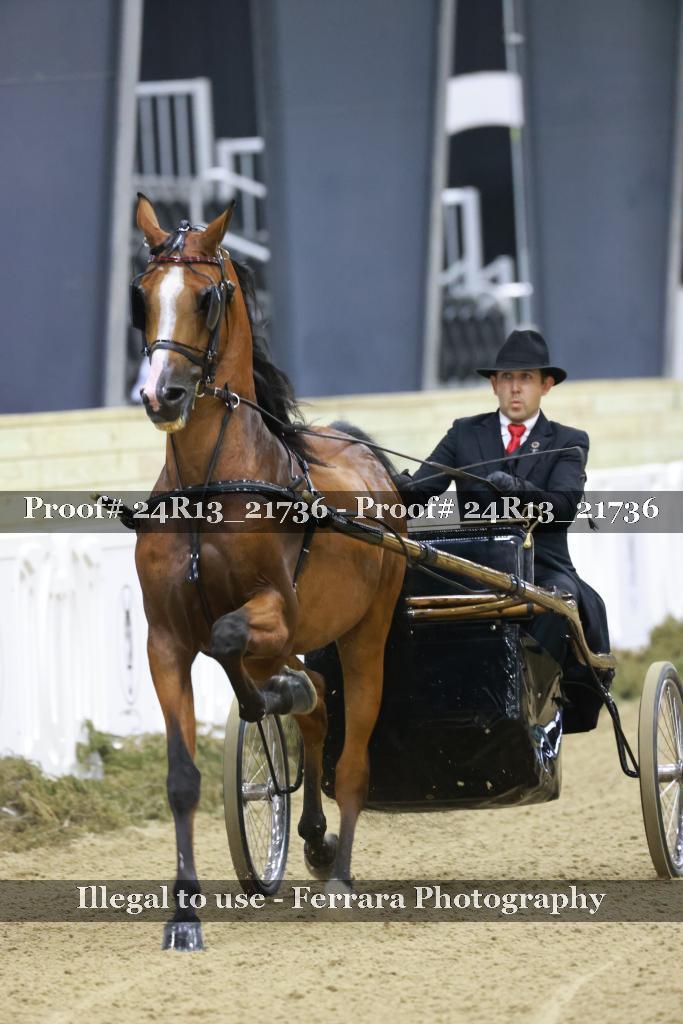 Proof 24R13_21736