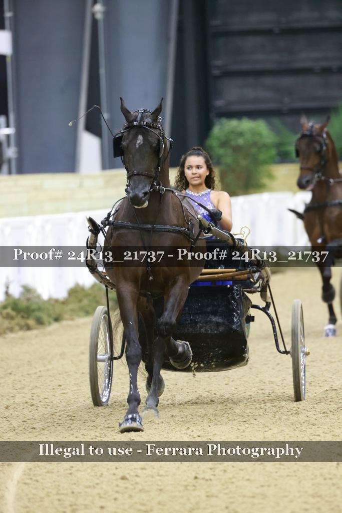 Proof 24R13_21737