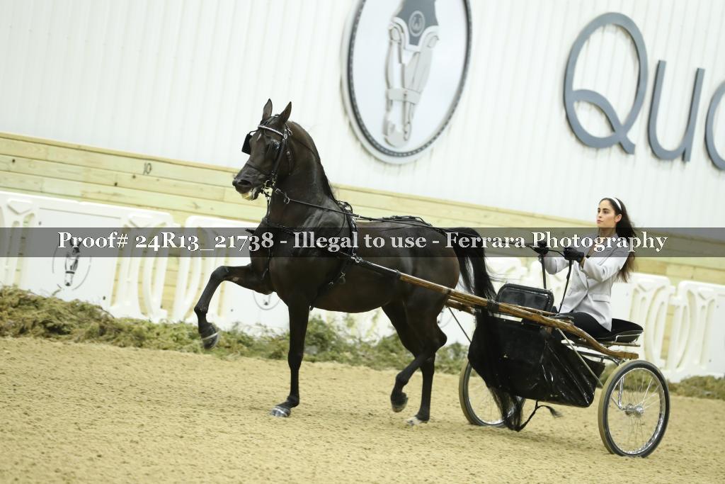 Proof 24R13_21738