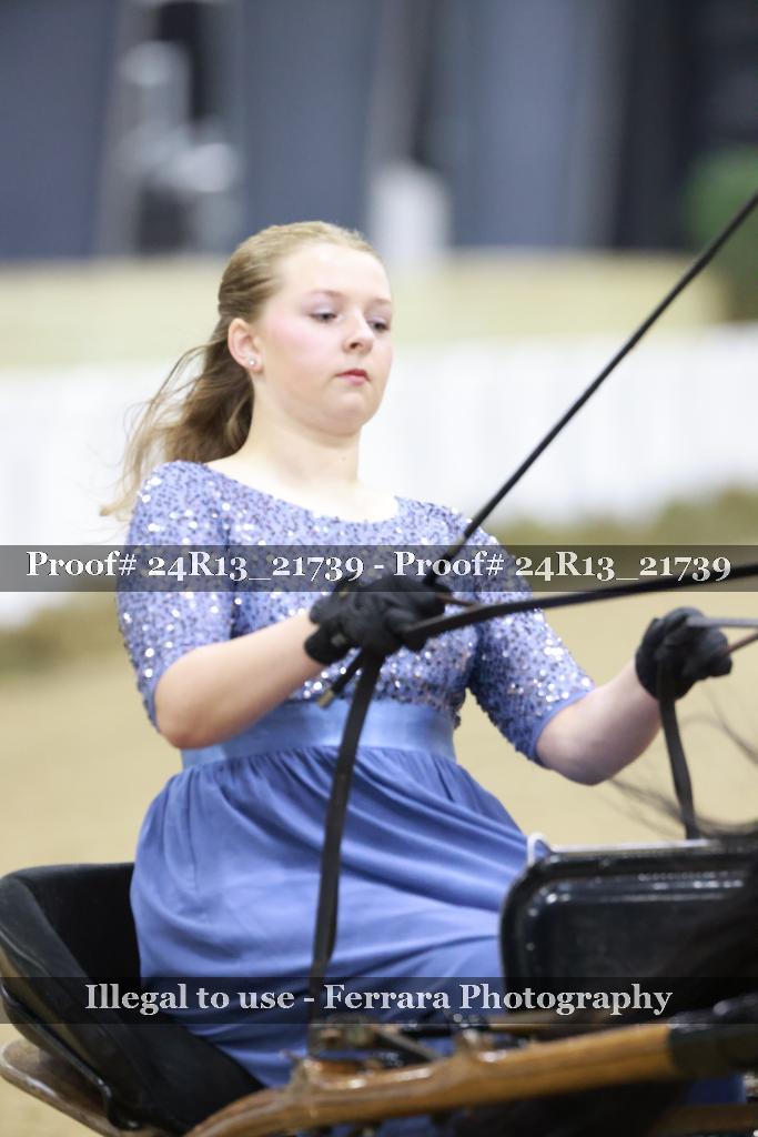 Proof 24R13_21739