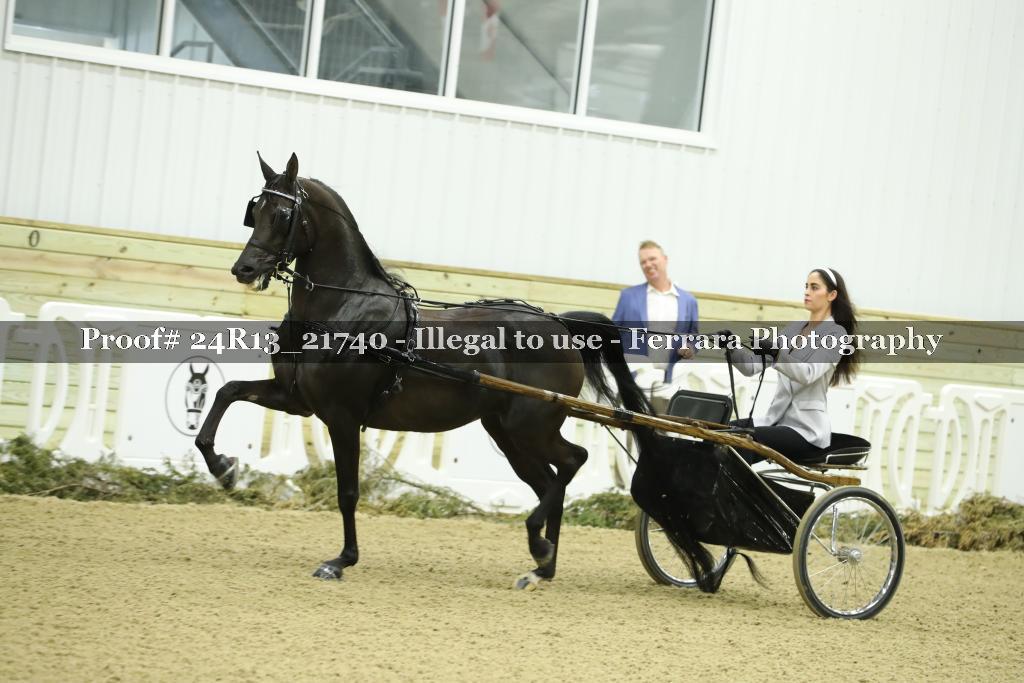 Proof 24R13_21740