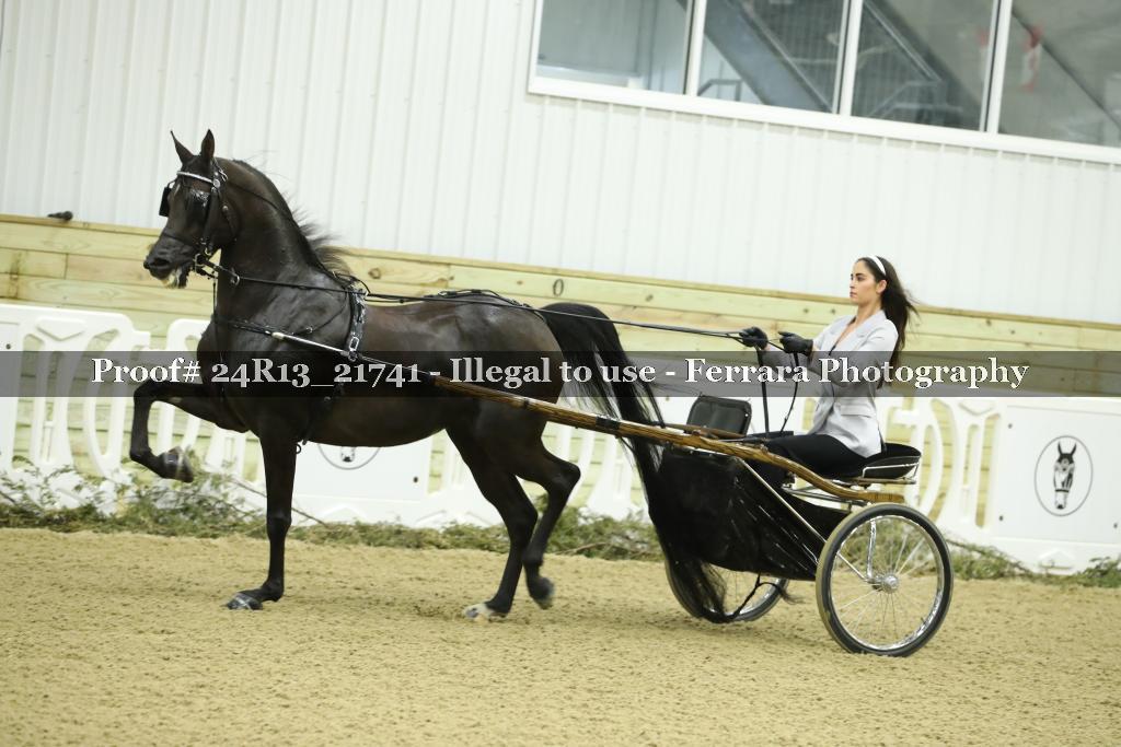 Proof 24R13_21741